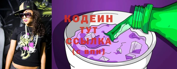 индика Козловка