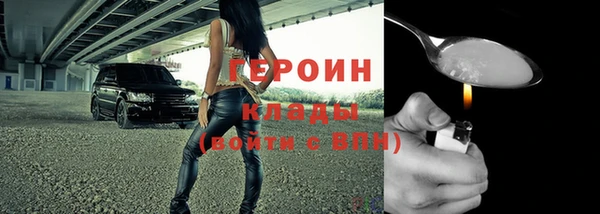 индика Козловка