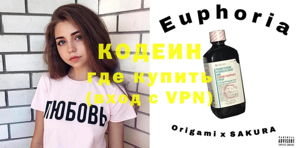 индика Козловка