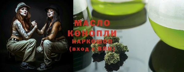 индика Козловка