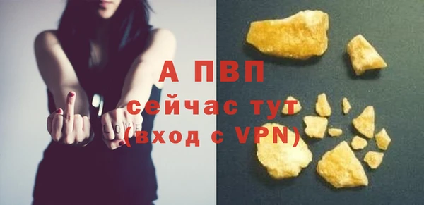индика Козловка