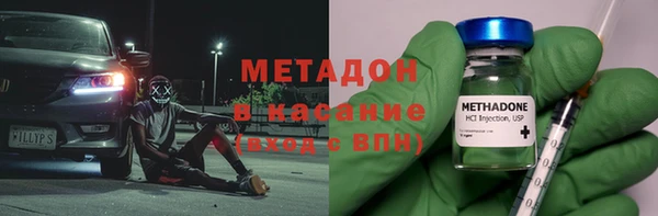 индика Козловка