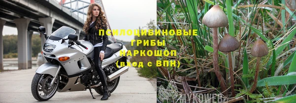 индика Козловка