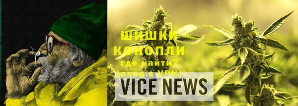 индика Козловка