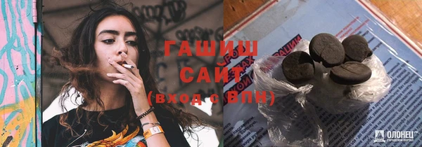 индика Козловка