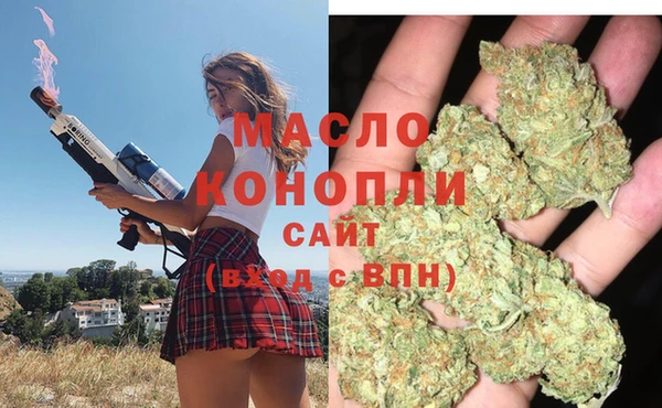 индика Козловка